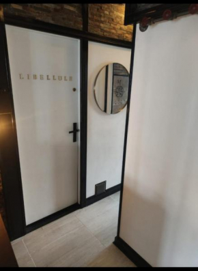 Libellule industrie